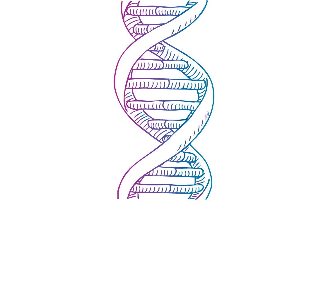 Metamorfosis Corporativa
